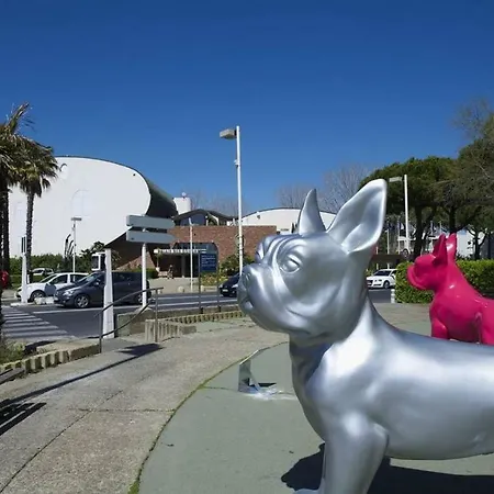 Rose Cote Mer Studio Et Garage, Entree Autonome * La Grande-Motte